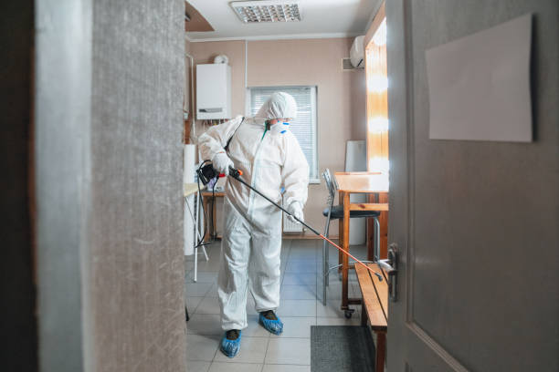 Best Mold Prevention Services  in Clay City, IN