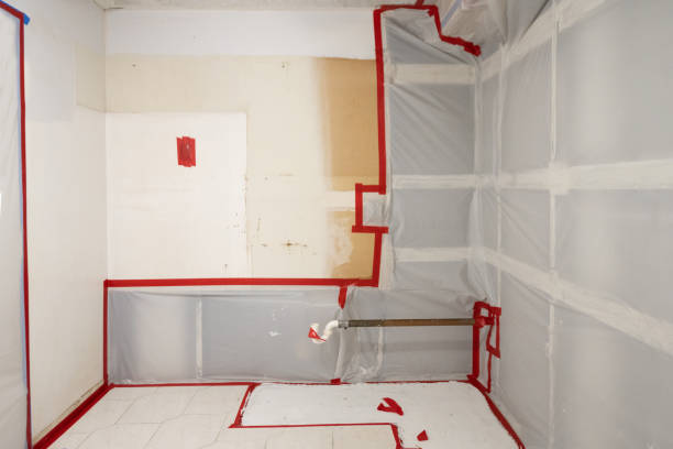 Best Attic Mold Removal  in Clay City, IN