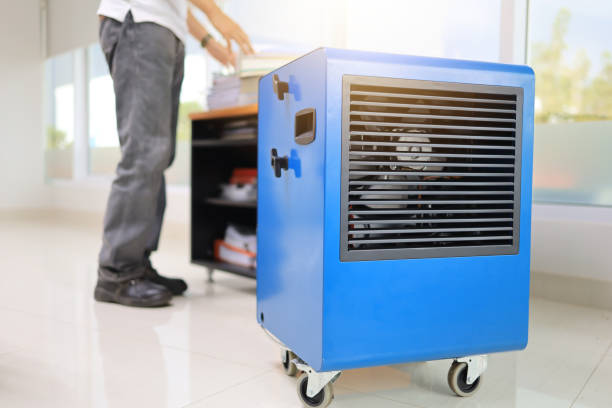 Best Industrial Mold Remediation  in Clay City, IN