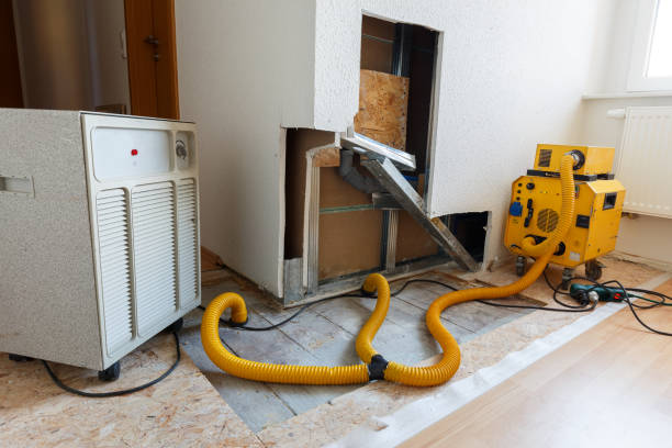  Clay City, IN Mold Removal Pros