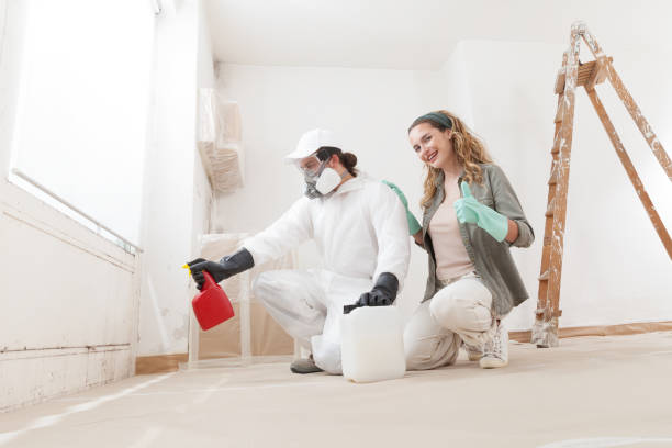 Best Asbestos and Lead Testing During Mold Inspection  in Clay City, IN